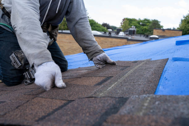 Best Commercial Roofing Services  in St Martin, MS